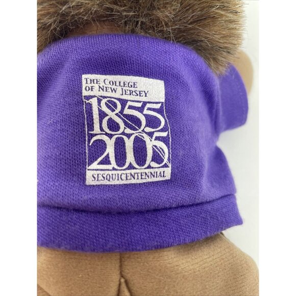 The College of New Jersey Lion Plush Toy Beanbag 1855 - 2005 Sesquicentennial 9" - Picture 4 of 12